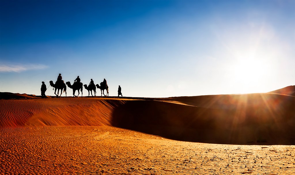 Camel caravan crossing vast orange dunes in the Moroccan Sahara